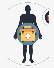 Organ Png, Transparent Png, Transparent PNG