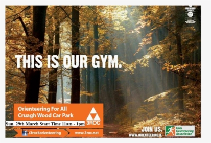 Pine Forest Poster This Is Our Gym 06mar2015 - Woods Autumn, HD Png Download, Transparent PNG