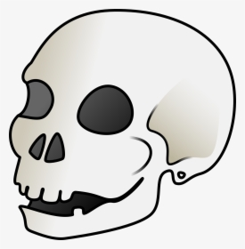Human Skull Svg Clip Arts - Cartoon Skeleton Head Png, Transparent Png, Transparent PNG