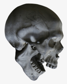Halloween, Skull, Skeleton, Skull Head, Head, Bone - Transparent Skull, HD Png Download, Transparent PNG