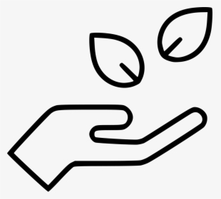 Hand Holding Leaves - Hand Hold Icon Png Line, Transparent Png, Transparent PNG