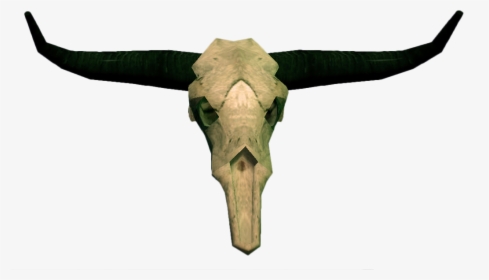 Cow Skull Png - Bull Skull Png, Transparent Png, Transparent PNG