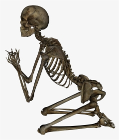 Download This High Resolution Skeleton - Dancing Skeleton Gif Png, Transparent Png, Transparent PNG