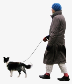Walking,dog Training,border Collie,walking,companion - Walking Dog Png, Transparent Png, Transparent PNG