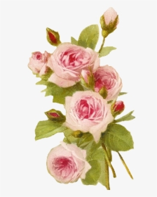 Romantic Pink Flower Border Png Transparent - Fondos De Rosas Rosas, Png Download, Transparent PNG