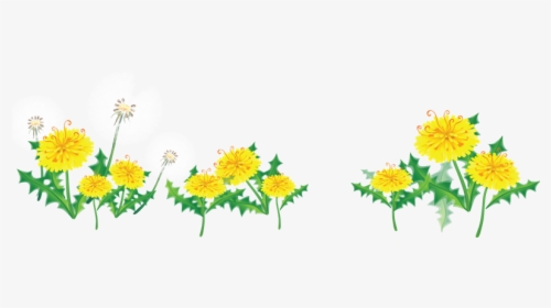 Border Flowers Clip Art - Flower Border Png, Transparent Png, Transparent PNG