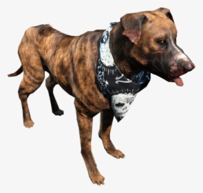 Fallout 4 Dog Png - Junkyard Dog Fallout 4, Transparent Png, Transparent PNG