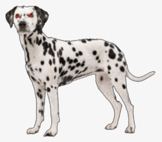 Download Free Png Susie Dalmatian Dog - Dalmatian Png, Transparent Png, Transparent PNG