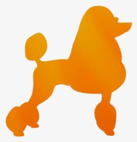 Transparent Poodle Dog Clipart, Poodle Dog Png Image - Sgrho Poodle Png, Png Download, Transparent PNG
