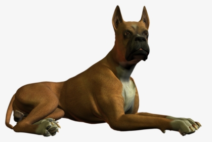 Dog Png Higher Resolution - Dog High Resolution Image Transparent, Png Download, Transparent PNG