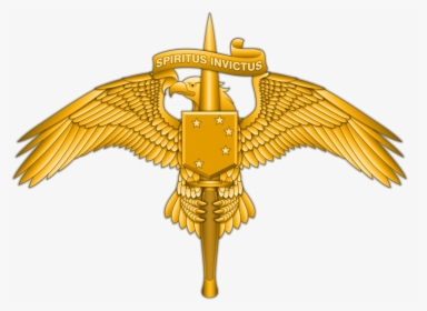 Marine Raider Insignia, HD Png Download, Transparent PNG