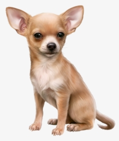 Chihuahua Clipart Cute Chihuahua - Chihuahua Clipart, HD Png Download, Transparent PNG