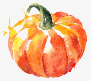 Transparent Pumpkin Png - Watercolor Pumpkin Transparent Background, Png Download, Transparent PNG