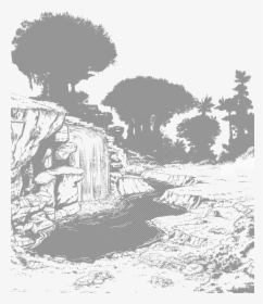 Tree, HD Png Download, Transparent PNG