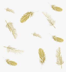 Feather Graphics Ink Portable Network Png File Hd Clipart - Falling Feathers Gold Png, Transparent Png, Transparent PNG