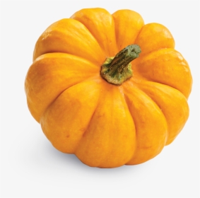 With Real Chicken, And Accents Of Blueberries, Pumpkin, - Pumpkin Png, Transparent Png, Transparent PNG
