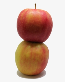 Apple, Fruit, Png, Food, Fresh, Healthy, Nutrition - Mcintosh, Transparent Png, Transparent PNG