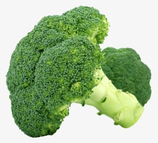 Broccoli Png Hd, Transparent Png, Transparent PNG