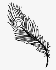Quill - Peacock Feathers Clipart Png, Transparent Png, Transparent PNG