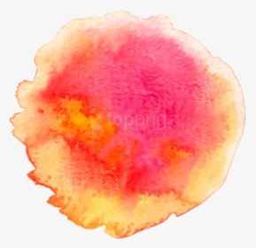 Download Watercolor Paint Clipart - Watercolor Paint, HD Png Download, Transparent PNG