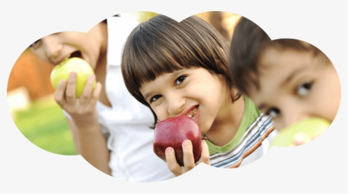 Healthy Foods For Kids Png - New Zealand Free Lunch, Transparent Png, Transparent PNG