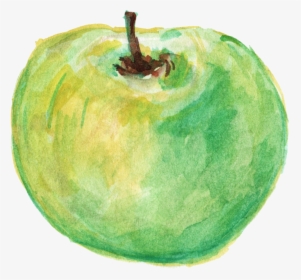 Watercolor Green Apple Png, Transparent Png, Transparent PNG