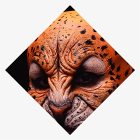 Tiger, HD Png Download, Transparent PNG