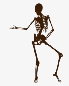 Funny Skeleton Png Image Clipart - Funny Skeleton Png, Transparent Png, Transparent PNG