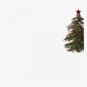 Decorated Christmas Tree Png Transparent, Png Download, Transparent PNG
