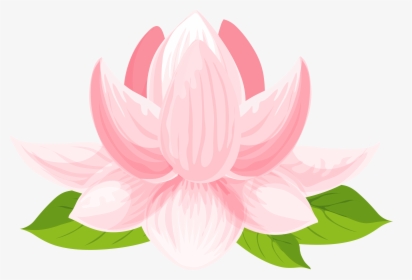 Lily Png Clip Art - Sacred Lotus, Transparent Png, Transparent PNG