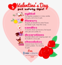 Dvm-valentine - Valentines Pet Safety Tips, HD Png Download, Transparent PNG