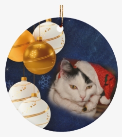 Transparent Christmas Cat Png - Merry Christmas Cards 2019, Png Download, Transparent PNG