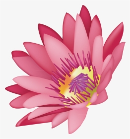 Transparent Water Lilies Png - Water Lily, Png Download, Transparent PNG