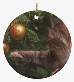 Christmas Cat Ornaments - Christmas Cat Meme, HD Png Download, Transparent PNG