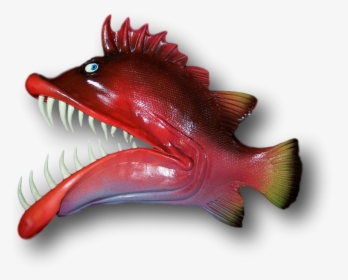 Monkfish, HD Png Download, Transparent PNG
