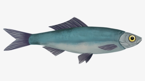 Fish For Life Concept Art - Oily Fish, HD Png Download, Transparent PNG