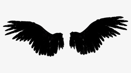 devil #wings #freetoedit #picsart - Wings Editing, HD Png Download ,  Transparent Png Image - PNGitem
