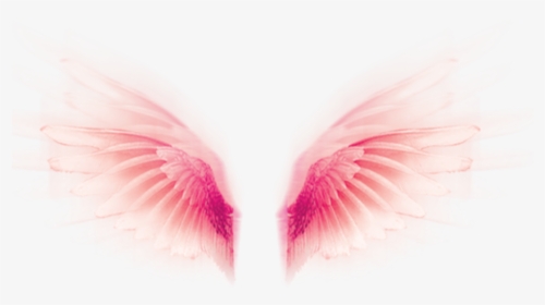 #wings #fly #tumblr #rosa #pink #pastel #cute #fofo - Close-up, HD Png Download, Transparent PNG