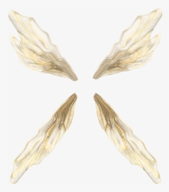 Insect, HD Png Download, Transparent PNG