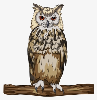 Bengal Eagle Owl Cartoon, HD Png Download, Transparent PNG