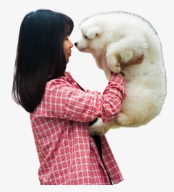 Woman Playing With A Puppy Dog Png Image - Png Dog, Transparent Png, Transparent PNG