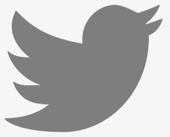 Grey Twitter Logo Transparent Background, HD Png Download, Transparent PNG