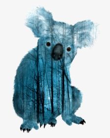 Transparent Koalas Clipart - Transparent Background Koala Png, Png Download, Transparent PNG