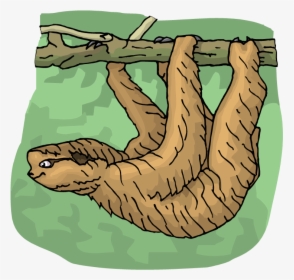 Sloth Clipart The Cliparts - Clip Art, HD Png Download, Transparent PNG