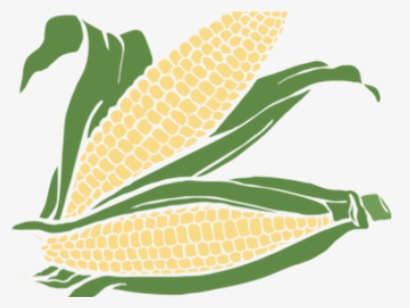 Corn Ear Of Clipart Maize Cliparts Cartoons Transparent - Corn Maze Transparent Background, HD Png Download, Transparent PNG