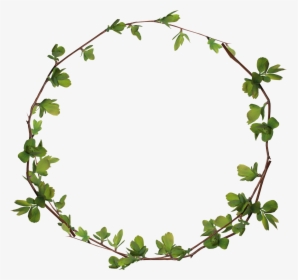 Clip Art Leaves Ring Transprent Png Free - Leaves Circle Png, Transparent Png, Transparent PNG
