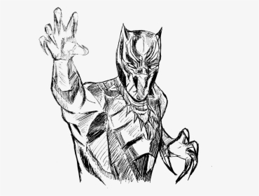 Sketch, HD Png Download, Transparent PNG