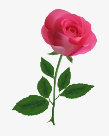 Free Clip Art Roses - Pink Rose Clipart, HD Png Download, Transparent PNG