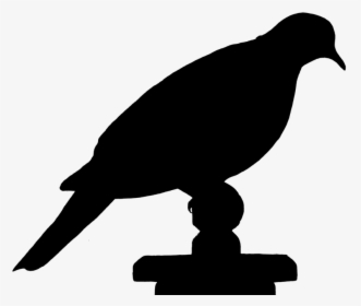 Dove Bird Silhouette - Siluet Burung, HD Png Download, Transparent PNG