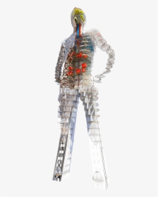Arup Model - Civil Engineering In Human Body, HD Png Download, Transparent PNG